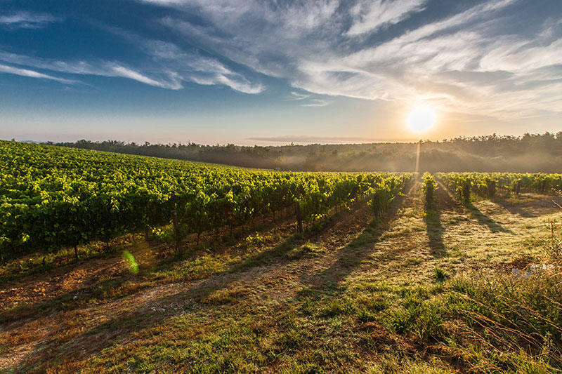 nouvelle aquitaine