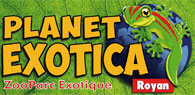 Planet Exotica