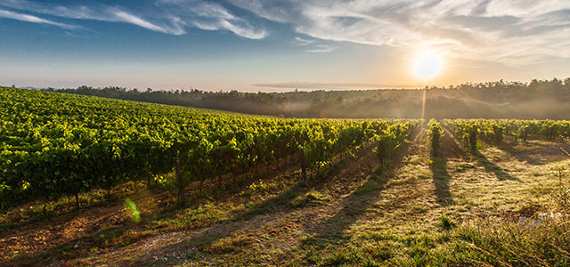 nouvelle aquitaine