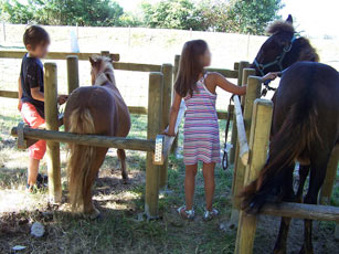 camping charente maritime