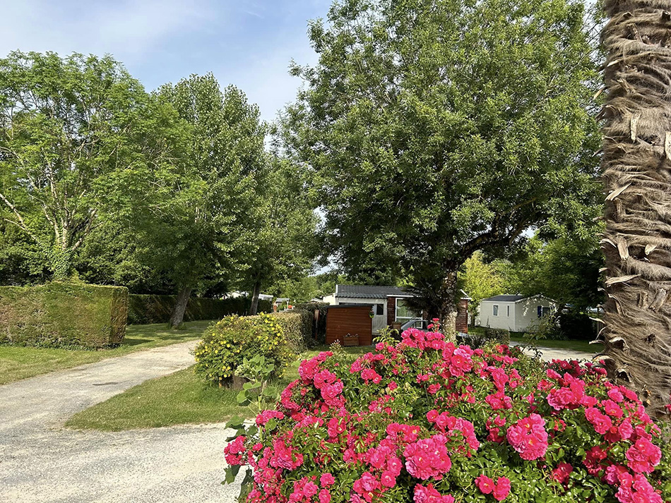 camping charente maritime